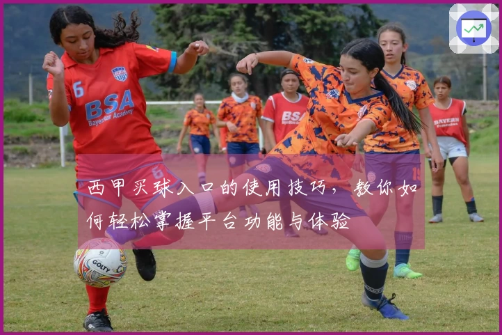 西甲买球入口的使用技巧，教你如何轻松掌握平台功能与体验