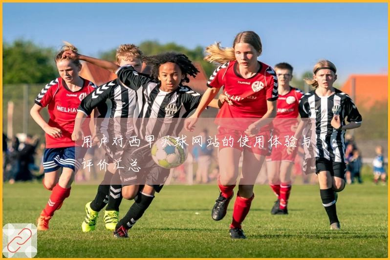 用户对西甲买球网站的使用体验与评价汇总